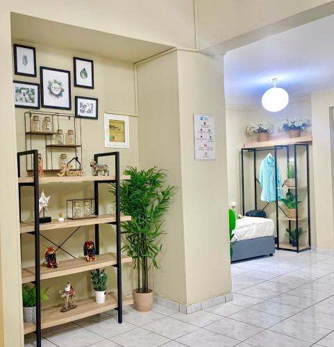 a room with shelves with plants and a bed at George Airport Apartments in Heraklio
