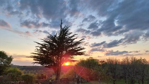 a tree in a field with the sunset in the background at Domaine La Garenne in Reilhaguet