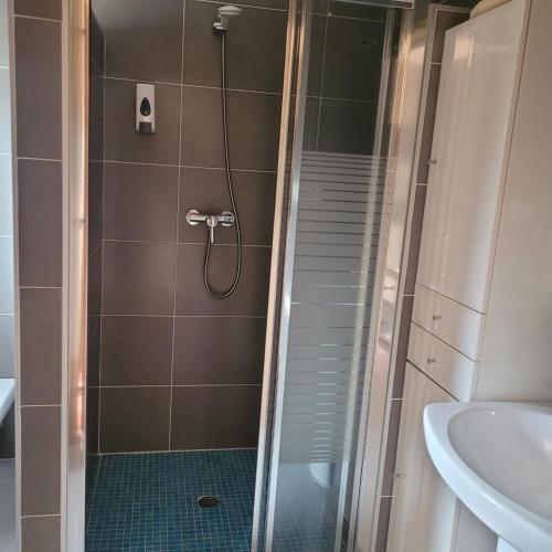 a bathroom with a shower and a sink at Casa Maside Orense in Maside