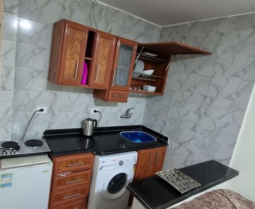 Il comprend une petite cuisine avec un évier et un lave-linge. dans l'établissement ستوديو محطة الرمل على البحر Stodeo by the Sea, à Alexandrie