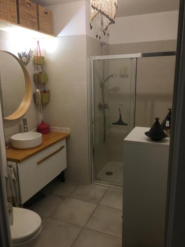 une salle de bain avec une douche, des toilettes et un lavabo dans l'établissement Charmant appartement 42m2 pour location de vacances Seignosse, à Seignosse