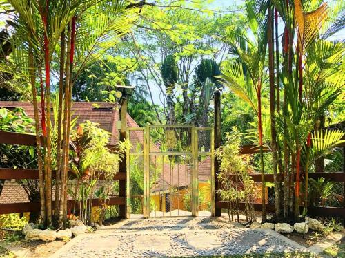 a gate to a garden with palm trees and a house at Villa del Idaan in Bocas del Toro