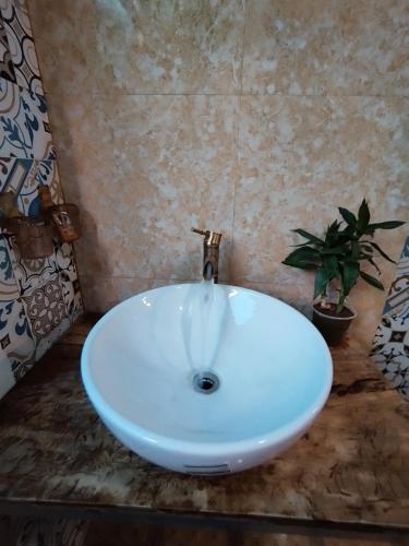a white sink in a bathroom with a plant at Du Gia View Homestay in Làng Cac