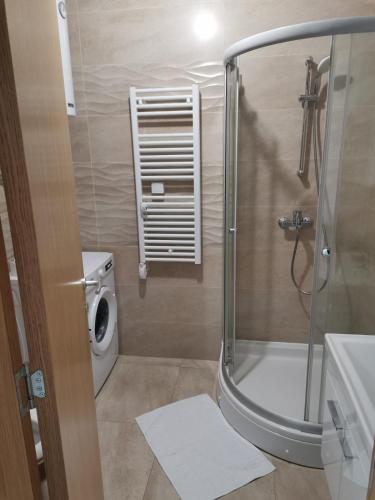a bathroom with a shower and a toilet at Apartman Rosić in Trebinje