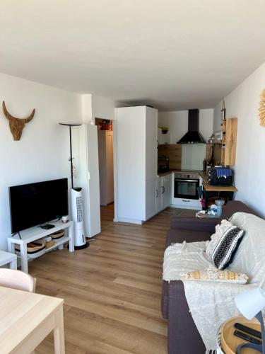 un salon avec un canapé et une télévision dans l'établissement Les Caravelles - Appartement Une chambre avec parking proche plage, au Grau-du-Roi