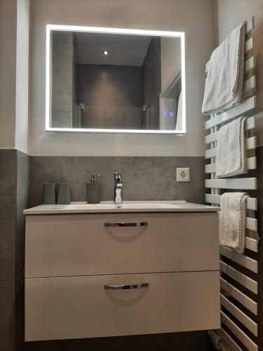 a bathroom with a sink and a mirror at Linde Diersburg in Hohberg