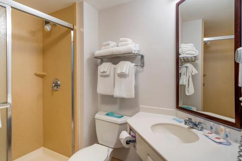 a bathroom with a toilet and a sink and a mirror at Comfort Inn & Suites Watertown - 1000 Islands in Watertown
