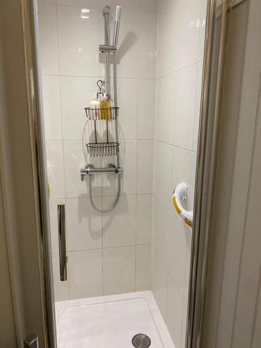 a bathroom with a shower with a toilet and a sink at Petherton Cottage Studios in Ringwood