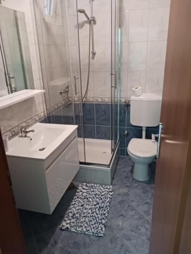 La salle de bains est pourvue d'une douche, d'un lavabo et de toilettes. dans l'établissement Apartmani Petra, à Primošten