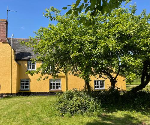 Una casa amarilla con un árbol delante. en Ashclyst Farm Rural Retreat, en Exeter