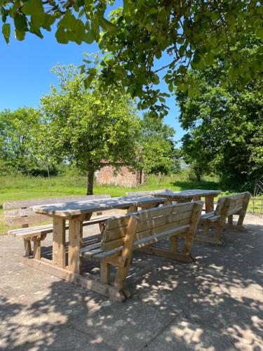 a wooden picnic table with two benches and a tree at Ashclyst Farm Rural Retreat in Exeter