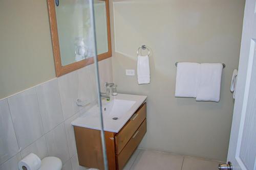 a bathroom with a sink and a glass shower at Water Mills- Beach Apartments in Mammee Bay