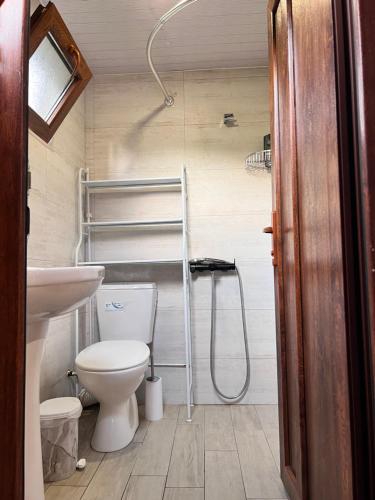 een kleine badkamer met een toilet en een douche bij Sunshine House in Koetaisi