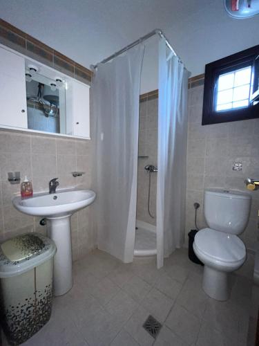 a bathroom with a toilet and a sink and a shower at BLUE DREAM in Koropi