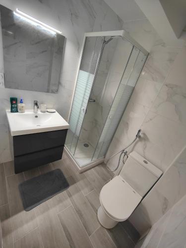 une salle de bain avec une douche, des toilettes et un lavabo dans l'établissement Charmant appartement au cœur de Nice - proche de tout !, à Nice