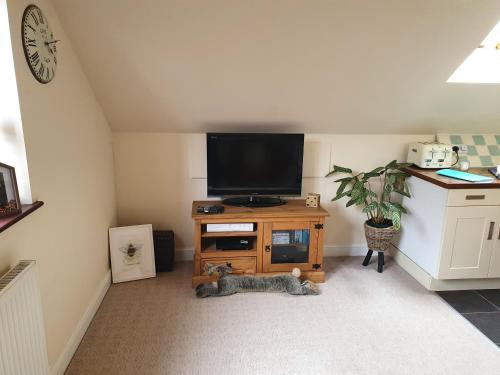 Televisyen dan/atau pusat hiburan di Cosy Village Apartment in Nottingham with parking
