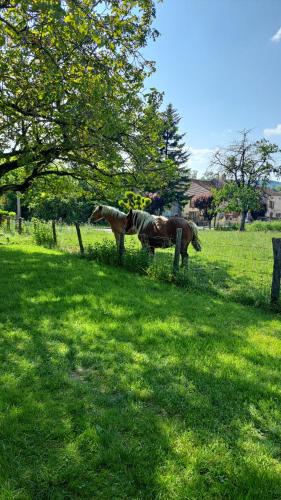 a statue of a horse standing in a field at Gite une belle Histoire in Voisey
