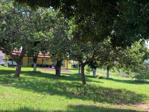 un grupo de árboles en un campo de hierba en CARAVELAS, en Três Marias