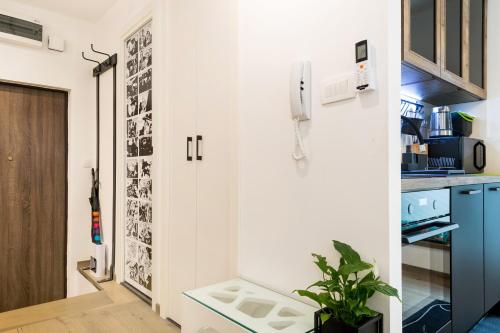 Zuzu Apartment
