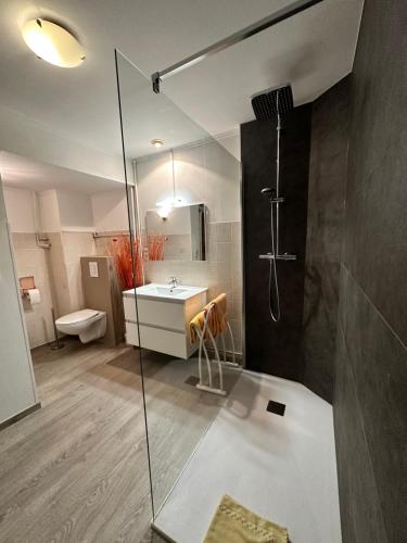 a bathroom with a shower and a sink at Hotel Le Luxembourg in La Roche-en-Ardenne