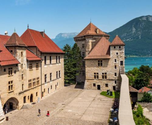 Super cozy alpine chalet - Annecy old town
