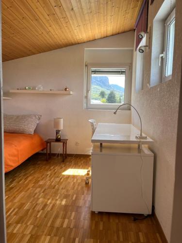 a room with a bed and a sink in it at Chambres dans villa avec piscine in Veyrier