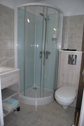 ein Bad mit einer Dusche und einem WC in der Unterkunft Hôtel Des Voyageurs in Bellevue-la-Montagne