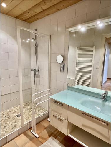 une salle de bain avec un lavabo et une douche dans l'établissement Résidences DELAVAY LA FERME, aux Gets