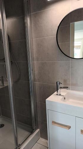a bathroom with a shower and a sink and a mirror at studio in Arnos