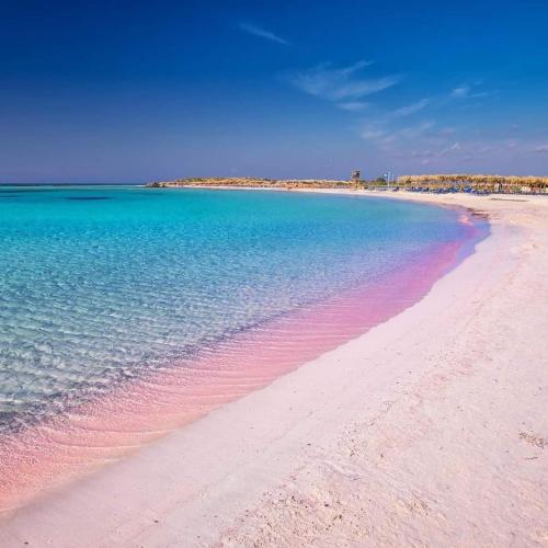 a beach with pink sand and the blue water at heaven suite elafonisi in Elafonisi