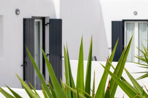 Giannoulaki Resort — Property building