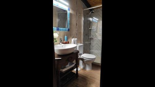 a bathroom with a white sink and a toilet at Apartamentos Rurales Fuente Chiquita in Hervás