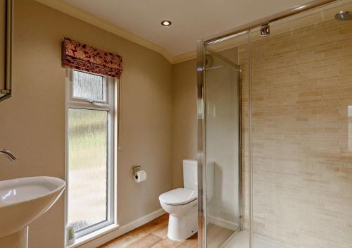 uma casa de banho com um WC e uma cabina de duche em vidro. em Meadow Lodge - Cornwall em Cardinham