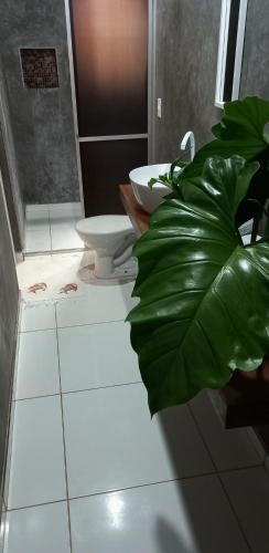 a bathroom with a toilet and a green plant at Casa de Dan in Pipa
