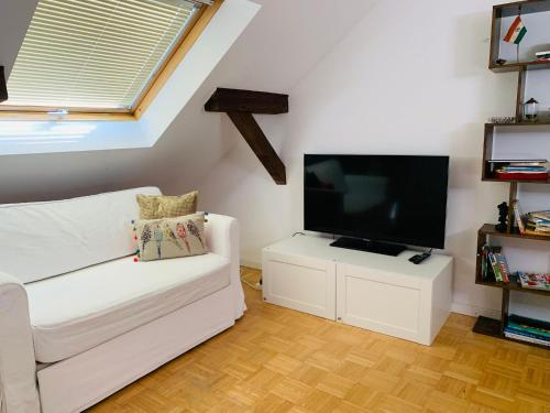 Il comprend un salon doté d'un canapé blanc et d'une télévision à écran plat. dans l'établissement Apartment amidst nature-Riverdale, north of Munich, à Fahrenzhausen