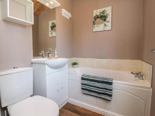 a bathroom with a toilet and a sink and a tub at Doormouse Lodge in Carnforth