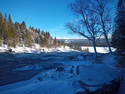 a river covered in snow with a tree next to it at Exklusiv flat with office 25 min from Östersund in Ytterån