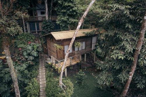 キャンプ場が所在する建物