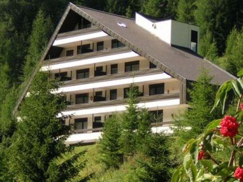 a large white building in the middle of a forest at Appartement Hardenack in Innerkrems