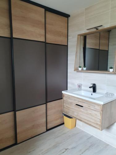 La salle de bains est pourvue d'un lavabo et d'un miroir. dans l'établissement CHEZ PILOU, à Varennes-sur-Allier