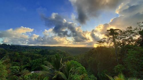 a view of a forest with a cloudy sky at Bon Mange Organic Farm in Vieux Fort