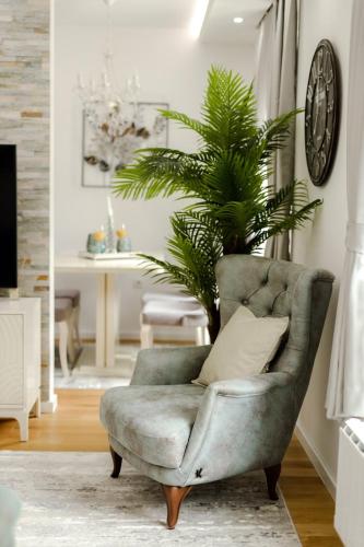 a living room with a chair with a plant at Fontana apartmani FREE parking in Tuzla