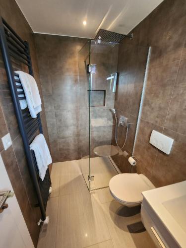 a bathroom with a toilet and a glass shower at Aaki Apartment Diegten in Diegten