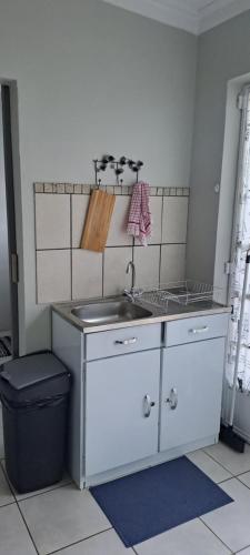 una piccola cucina con lavandino e cestino di The Cottage Unit a Bloemfontein