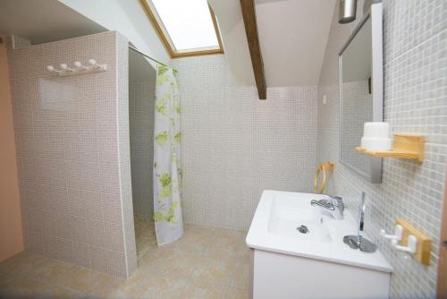 łazienka z umywalką i prysznicem w obiekcie Gîte Des Huttes w mieście Bain-de-Bretagne