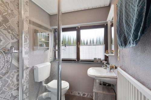 ein Bad mit einem WC und einem Waschbecken in der Unterkunft Ferienwohnung Schwarzwald Engel in Bad Peterstal-Griesbach