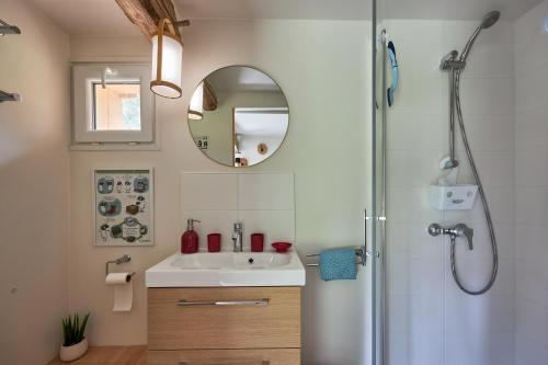 ein Bad mit einem Waschbecken und einer Dusche mit einem Spiegel in der Unterkunft Le chouette insolite in Cresseveuille