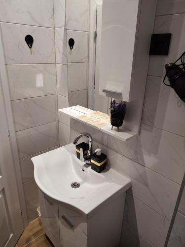 Koupelna v ubytování Bella apartman