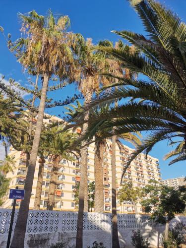 Appartement Lemon trees vue mer panoramique 150m des plages