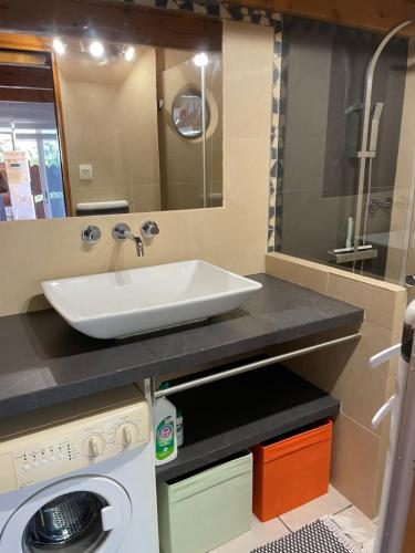 une salle de bain avec un lavabo et une machine à laver dans l'établissement Appartement de charme, à Six-Fours-les-Plages
